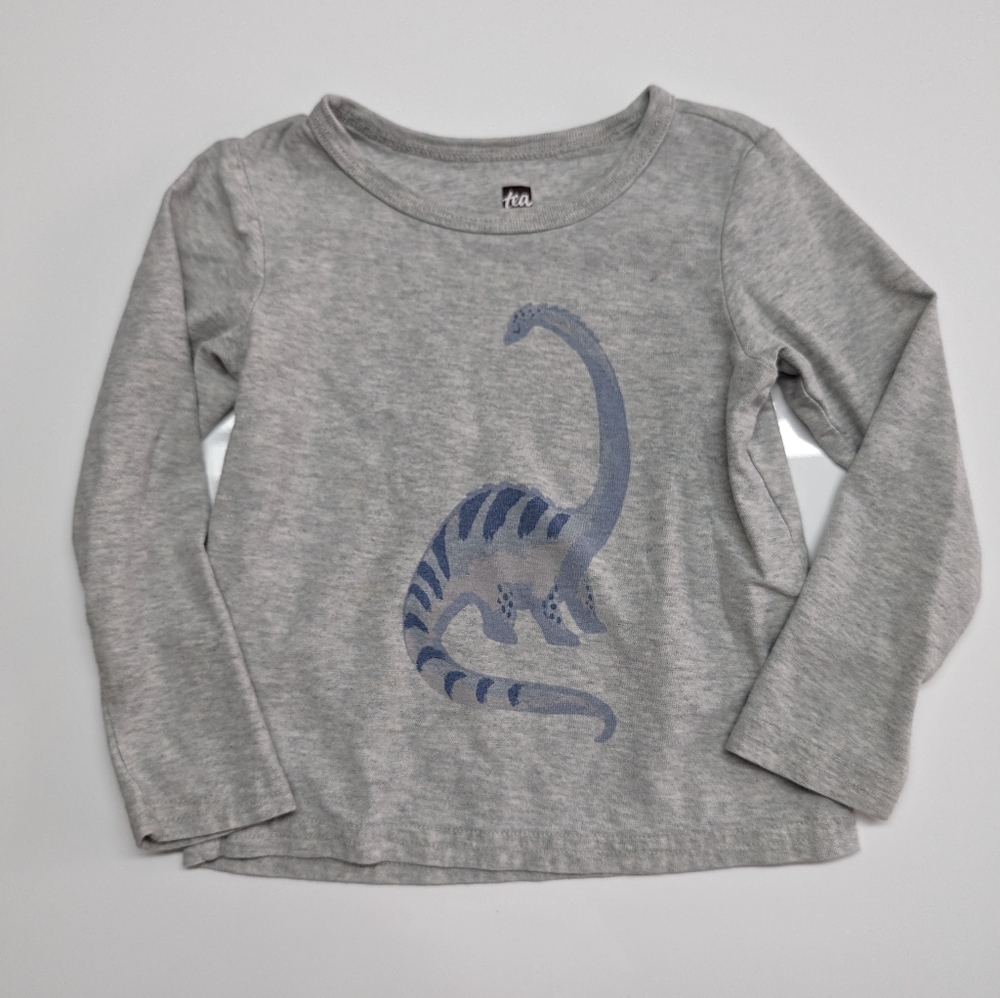 Dinosaur shirt